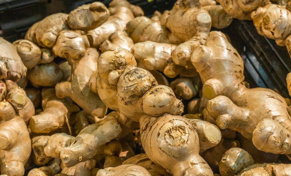 Le gingembre : la solution naturelle pour être moins fatigué