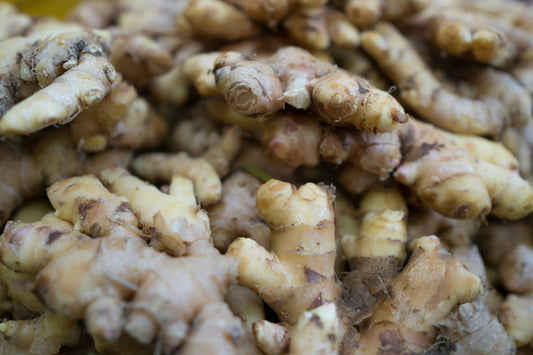 Les bienfaits du gingembre frais sur la digestion et l’immunité