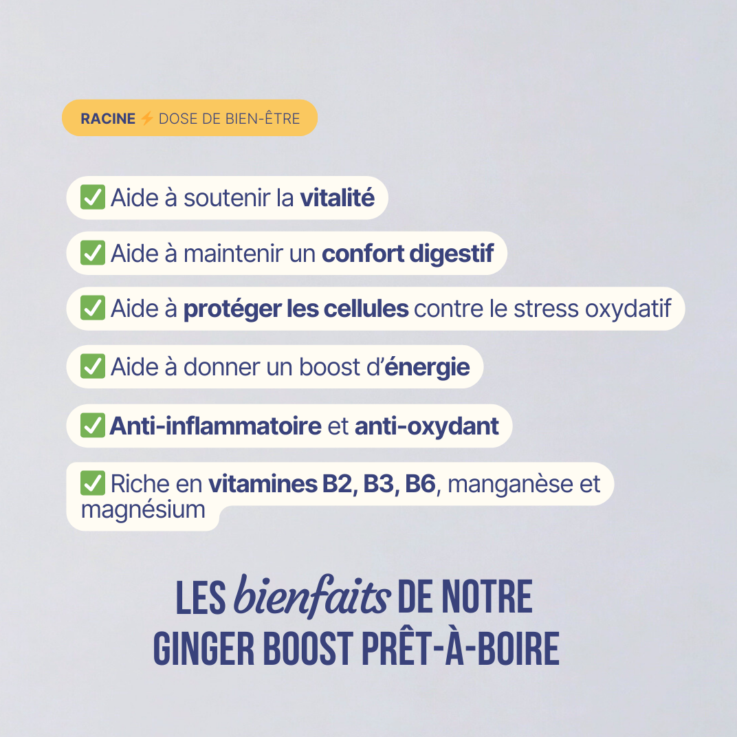 Ginger Boost Bio - Concentré de vitalité au gingembre