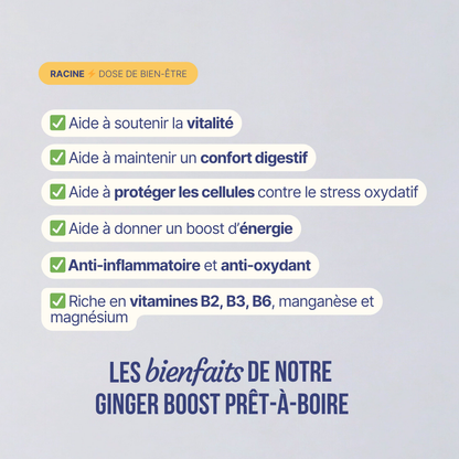 Ginger Boost Bio - Concentré au Gingembre